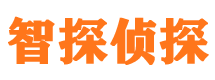 民和侦探公司